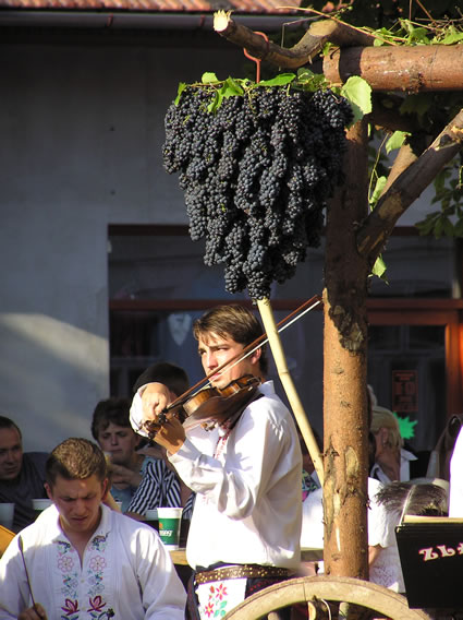 Moravian Wine harvest festival in the Czech Republic.
