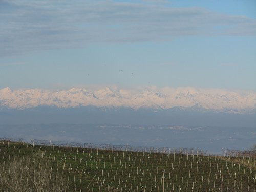 Piemonte, Italy where you can enjoy white and black truffle season and wine.