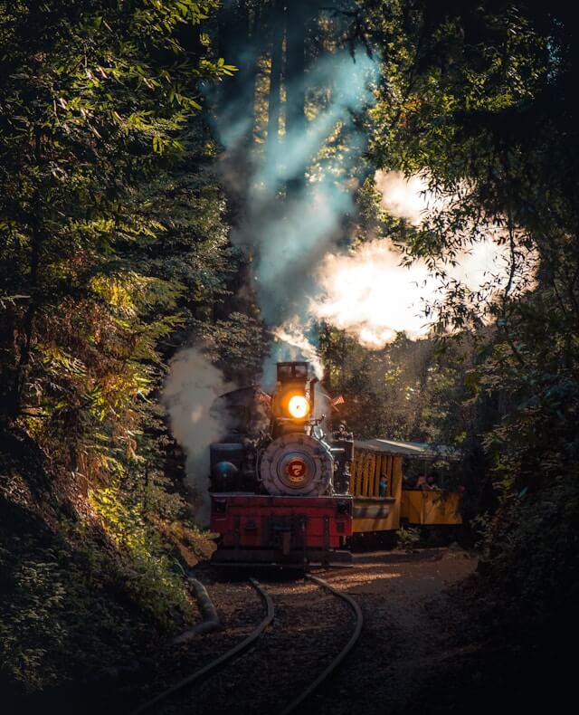 A train passing through a dense forest in India.