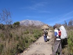 Climbing Kilimanjaro in Kenya with a Maasai Elder.