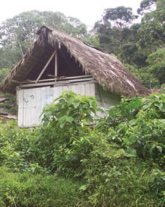 House in Ecuador