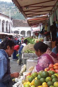 Market in Ecuador