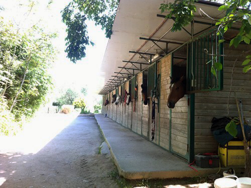 The horse stables at Umbrian vineyard.