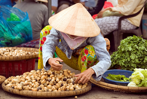 Woman at a market in Vietnam where demand for ESL teachers is high.