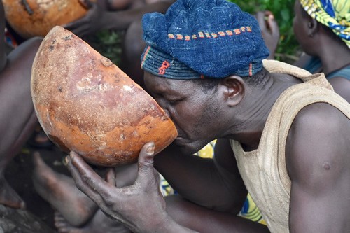 Drinking millet beer from a hollowed-out calabash