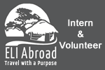 Volunteer in Africa with ELI