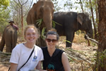 Volunteer with Globe Aware: Sustaining Thailand's Elephants