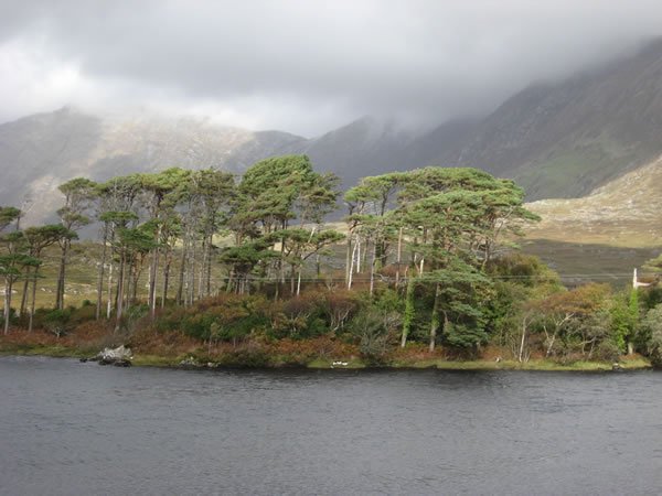 Connemara, Co. Galway