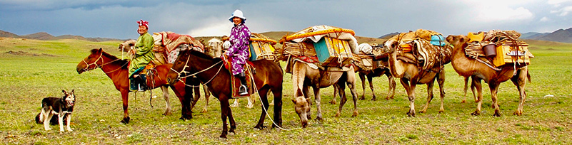 Caravan of horse riders in Mongolia