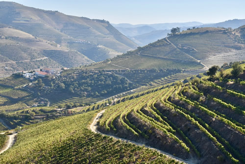 View of Douro Valley river