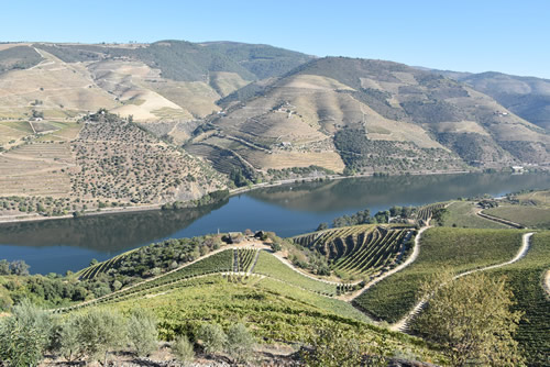 View of Douro Valley river