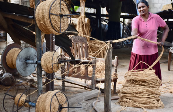 Production of rope from coconut shell fiber