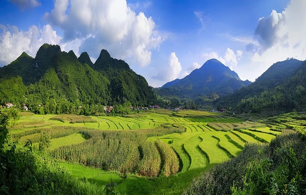 The rice fields in a valley amidst the mountains of Vietnam