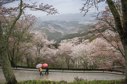 Nara Prefecture