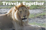 Travels Together Women Tours