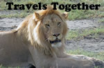Travel Together Tours