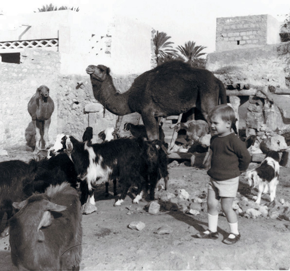 Gregory with goats and camels in Morocco