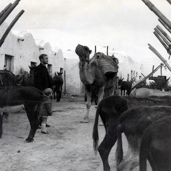 Gregory Hubbs with his father among camels in Morocco.