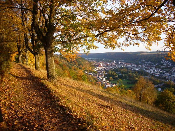 View through a forest hilltop of Eichstätt, Germany in the fall.