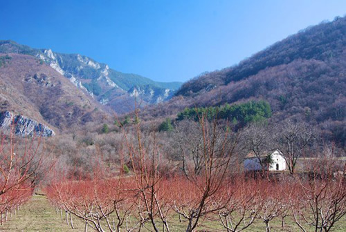 Bachkovo monastery near Asenovgrad.