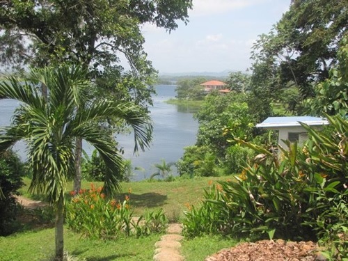 Garden view from house in Panama