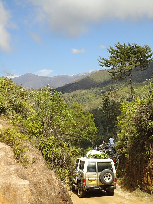 Camping and Living in Colombia.