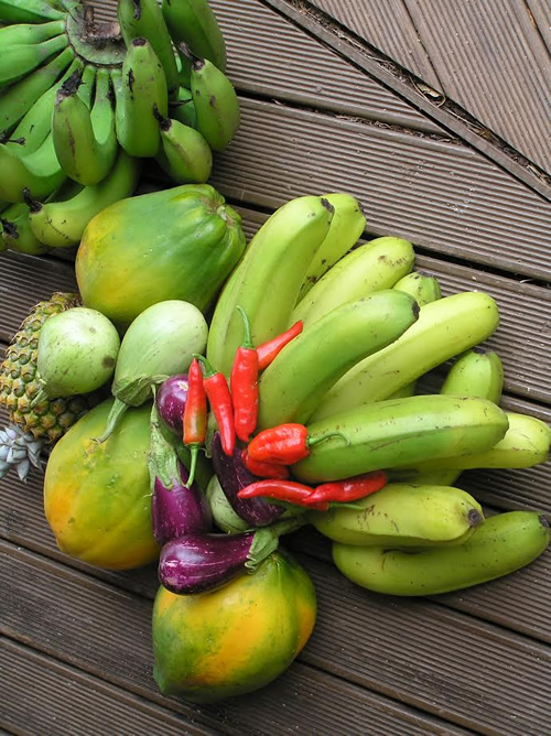 Fruits of the land in Fiji.