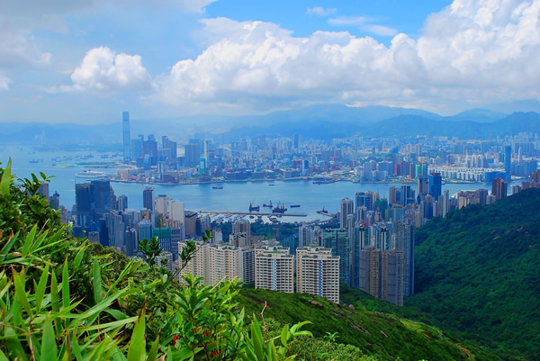 A view of the Hong Kong skyline and harbor from above on a hill.