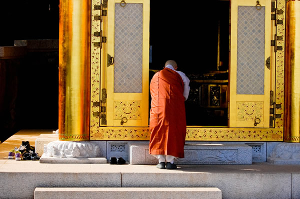 Monk praying in front of a golden temple in South Korea.