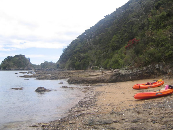 Kayaks on the Bay of Islands, New Zealand