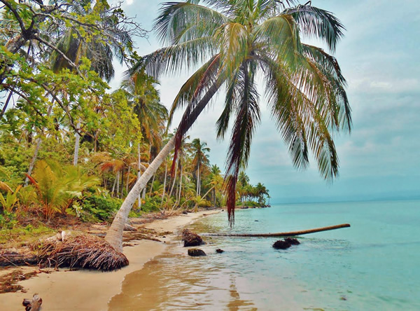 Vivir en Panamá: Playa de Bocas del Toro