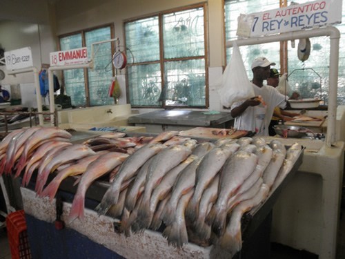 Leben in Panama City: Fischmarkt