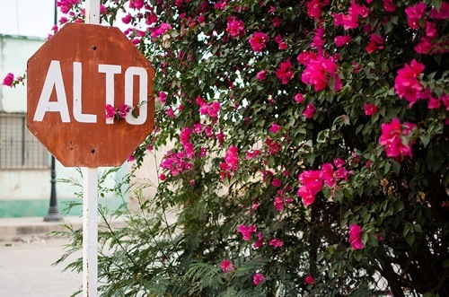Stop sign (ALTO), in Spanish in Mexico.
