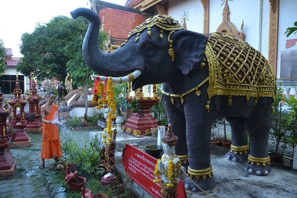 A monk watering plants at a temple complex in Chiang Mai, Thailand.