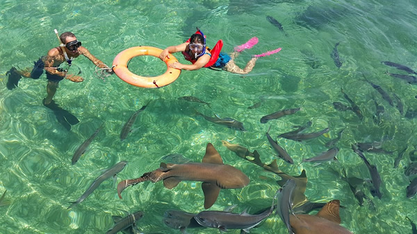 Try avoid swimming with sharks in Belize, as it is not always safe, even in a beautiful country in Central America.