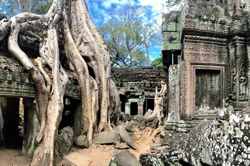 Temple of Ta Prohm at Angkor Wat