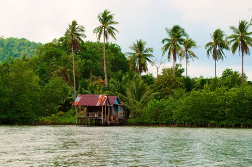 Along the Mekong River in Cambodia