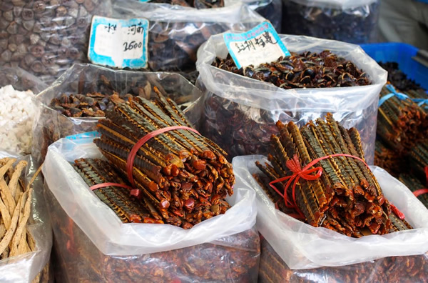 Wu Gong (centipedes) and Zhang Lang (cockcroaches) at the Chinese  medicine market