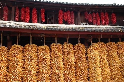 Drying corn and pepper on China trails