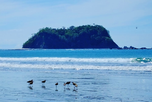 Isla Chorla, Costa Rica