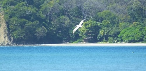 Nicoya Peninsula in Costa Rica