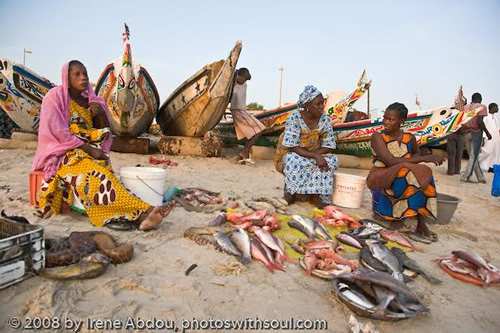 Women sitting with fish caught at Yoff, Dakar.