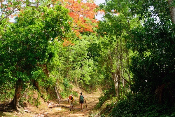 Tubagua hike takes you through the Dominican countryside