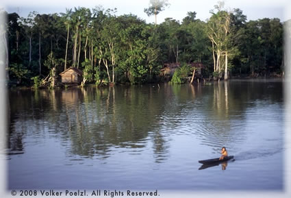 Lower Amazon river