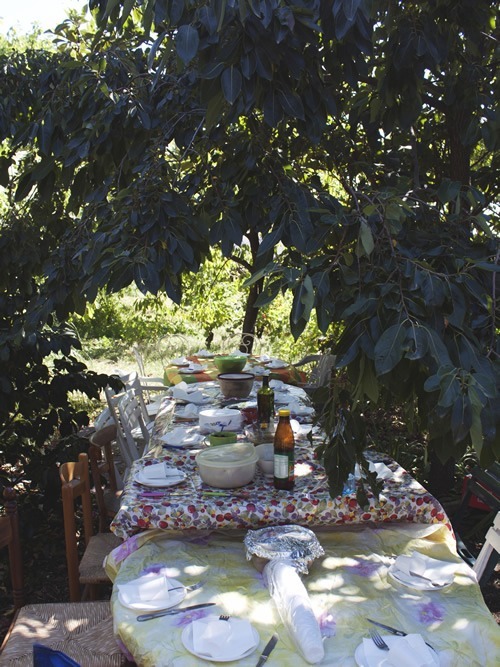 Feasting for the harvest underneath the trees