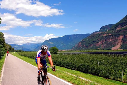 On a cycling path in Italy, a cyclist by the vineyards.