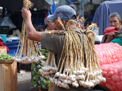 Guatemalan vendor selling garlic