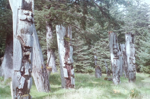 Line of Haida totem poles