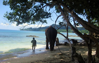 Andaman islands, India, man and elephant