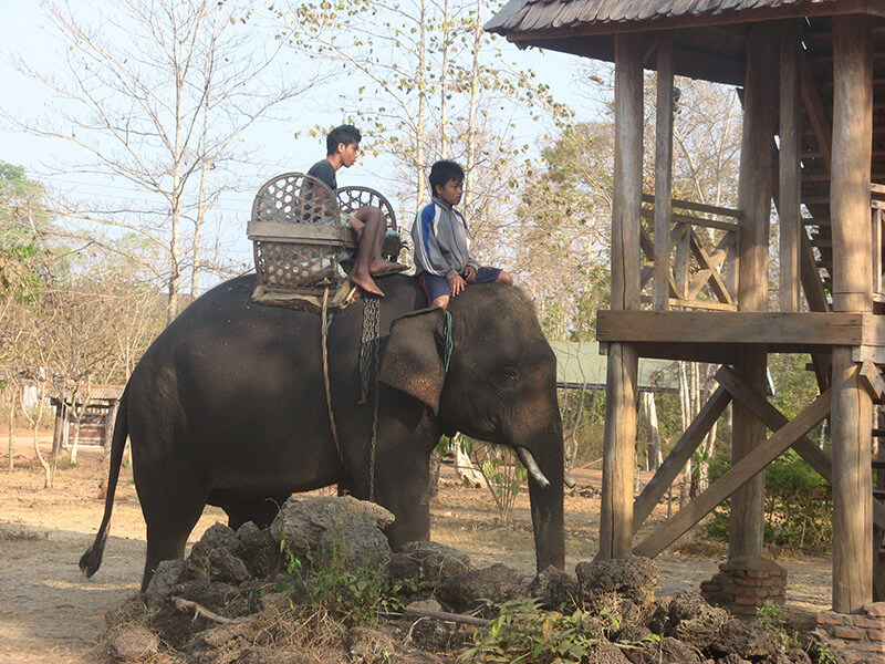 Children riding an elephant in Laos